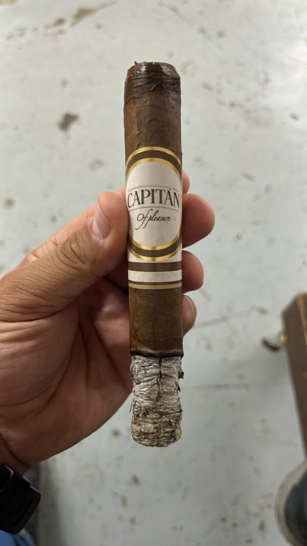 Palermo Cigar 10 Pack