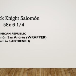 Black Knight Salomón - Image 2