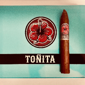 TOÑITA Hibiscus
