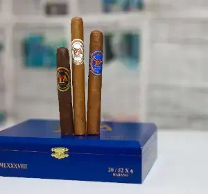 MLP ROBUSTO MADURO