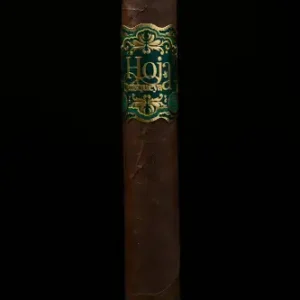 HOJA DE QUISQUEYA